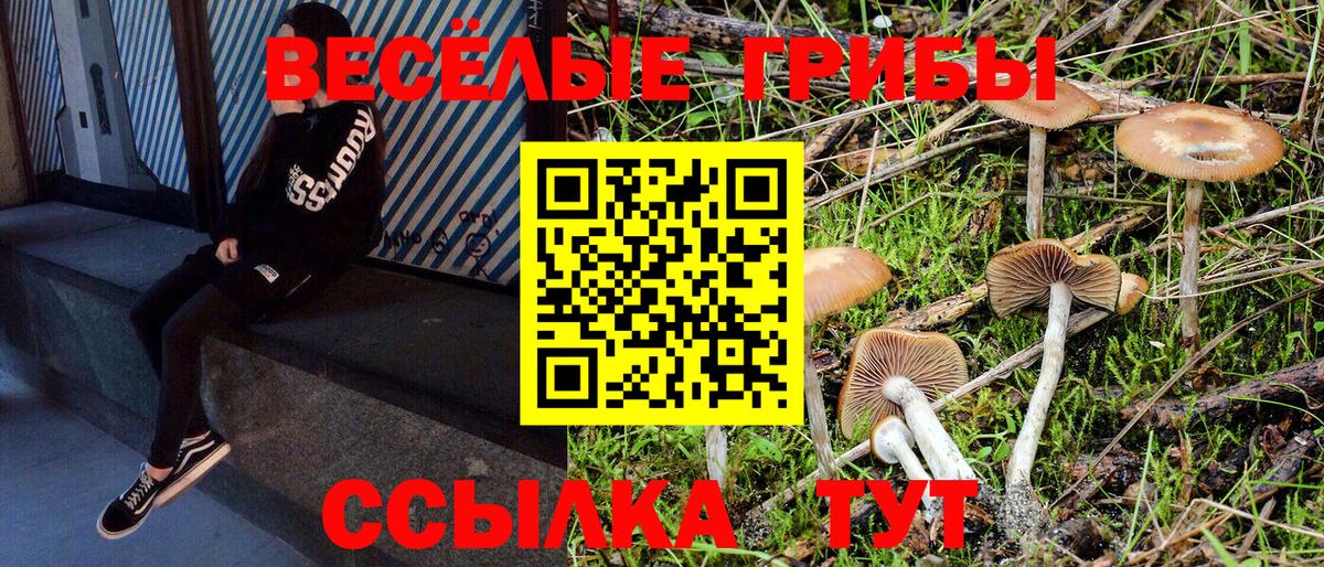 Галлюциногенные грибы мицелий Ефремов