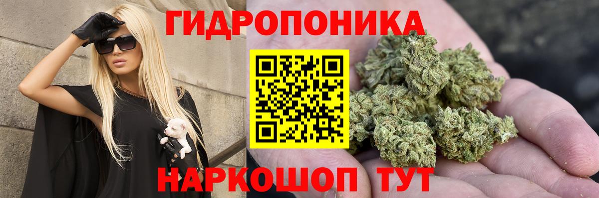 Конопля сатива  Канабис марихуана  Вход с VPN  Ефремов  Конопля MAZAR  Шишки марихуана MAZAR 